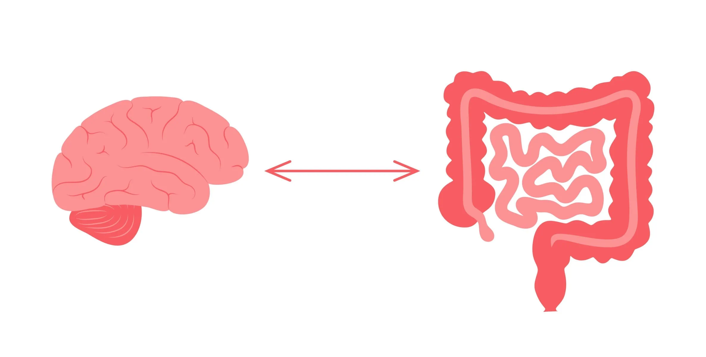 Microbiome – The missing link in the gut-brain axis