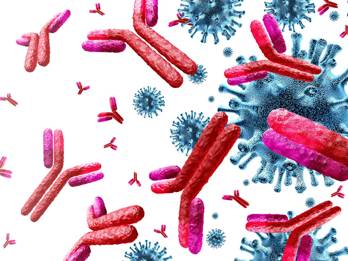 An illustration of an immune system fighting off virus cells.