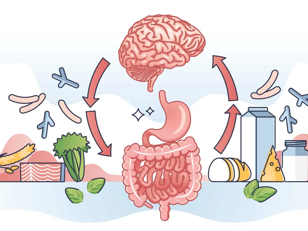 Effects of a high-prebiotic diet versus probiotic supplements versus synbiotics on adult mental health